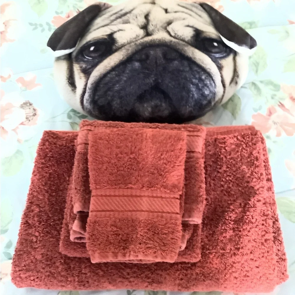Towel set by Spring made 3 piece Rust Egyptian cotton. In excellent con…